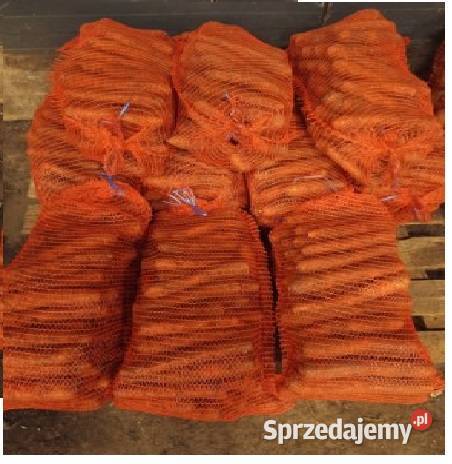 Marchew jadalna zwierząt Russocice