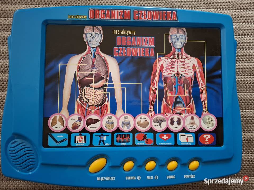 Interaktywny organizm człowieka małopolskie Oświęcim