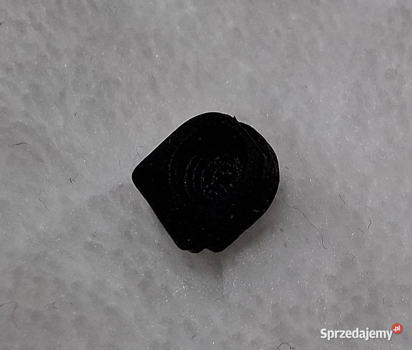 Uszczelka 6x6mm część do Asus Zenfone Z010D Czeladź