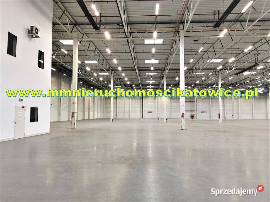 Magazyny do wynajęcia 200 10000 m2 Będzin wysoki śląskie
