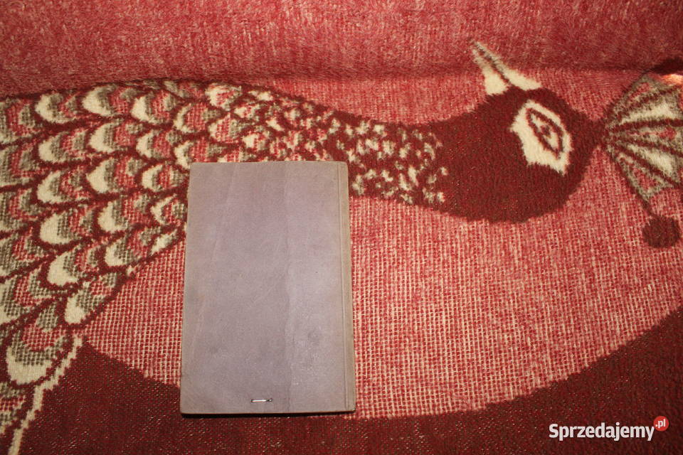 Die Steinkohle A Haenig 1907 Antykwariat Chorzów