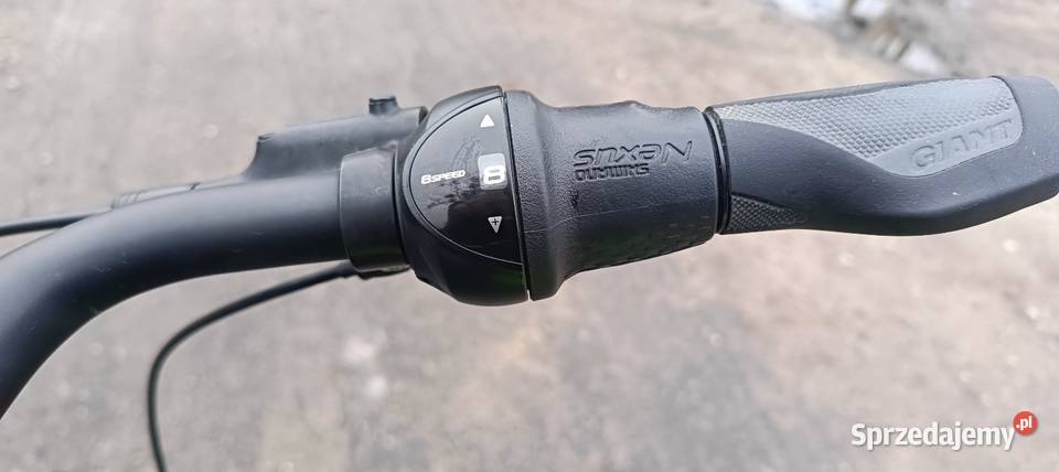 Trekkingowy Rower Męski Giant Anytour Xl Ciemny Środa Wielkopolska