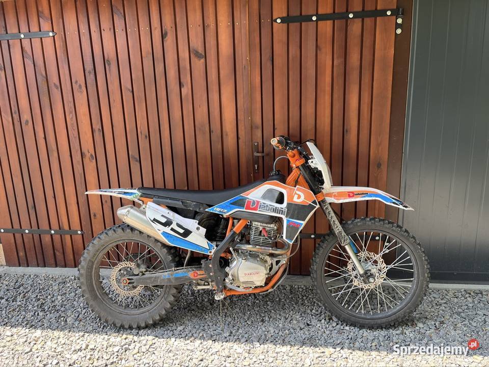 Diabolini mrz 250 podkarpackie Jeżowe