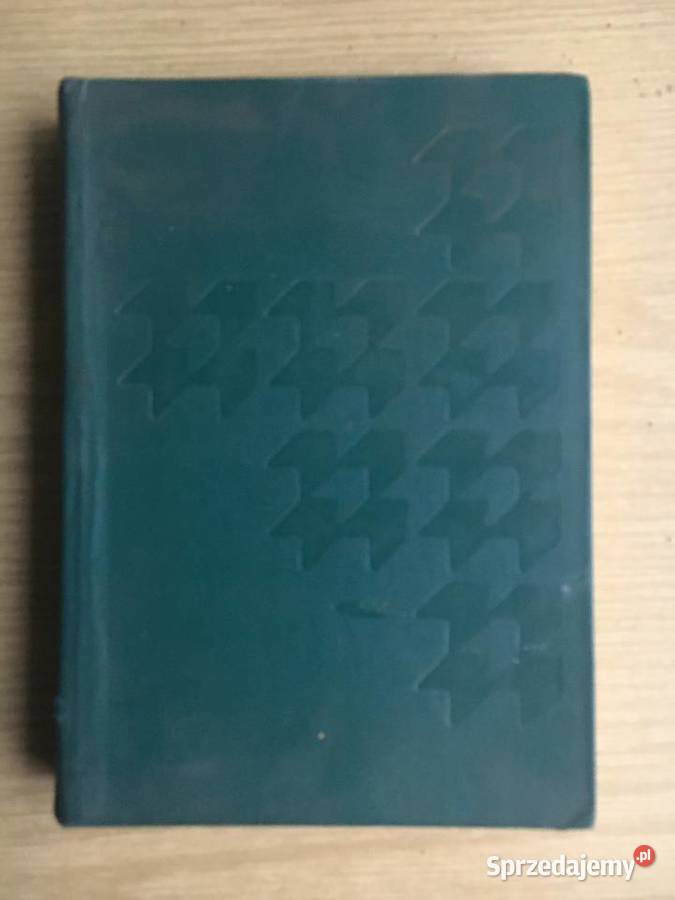 Zaplecze techniczne transportu samochodowego Łęczyca