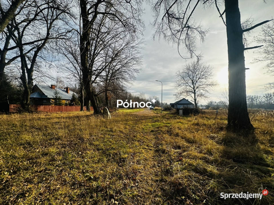 Na sprzedaż piękny dwór w Stańkowie lubelskie Stańków