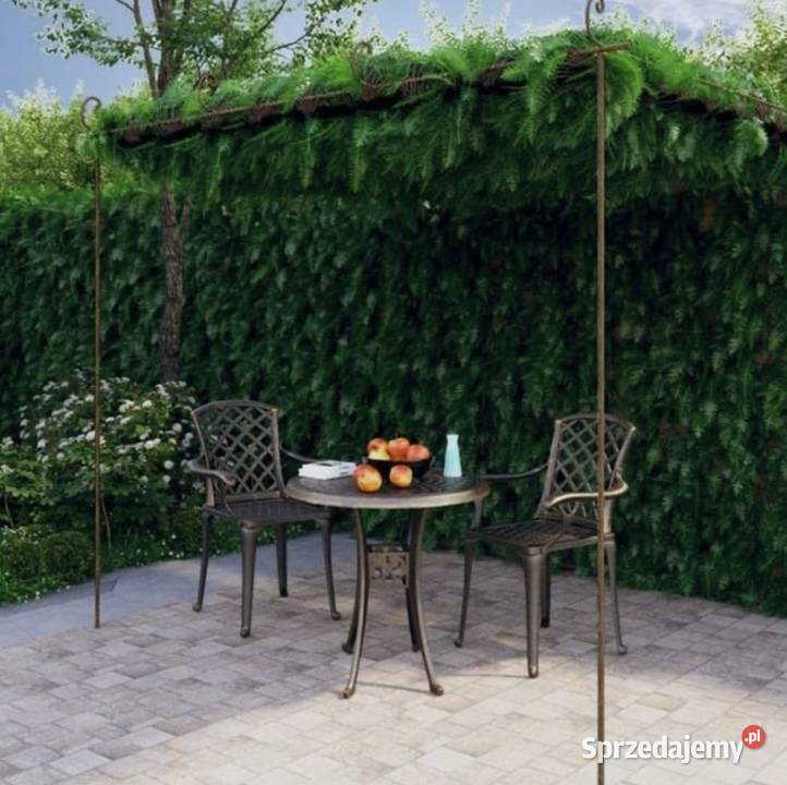 Pergola ogrodowa antyczny brąz 4x3x25 Dom i Ogród