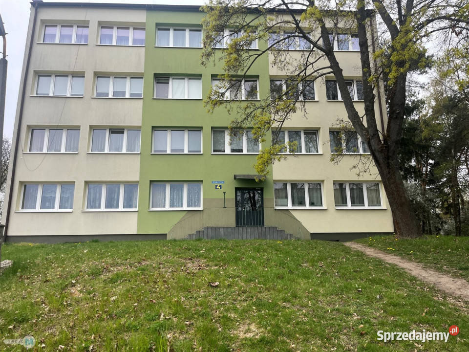 Ogłoszenie mieszkanie BuskoZdrój 4713m2 Busko-Zdrój
