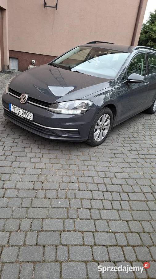 Golf VII Diesel Poznań
