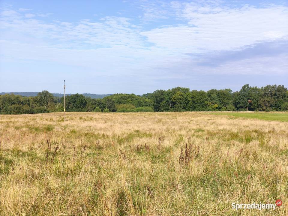 Z dala spojrzeń sąsiadów Sprzedaż Chocielewko