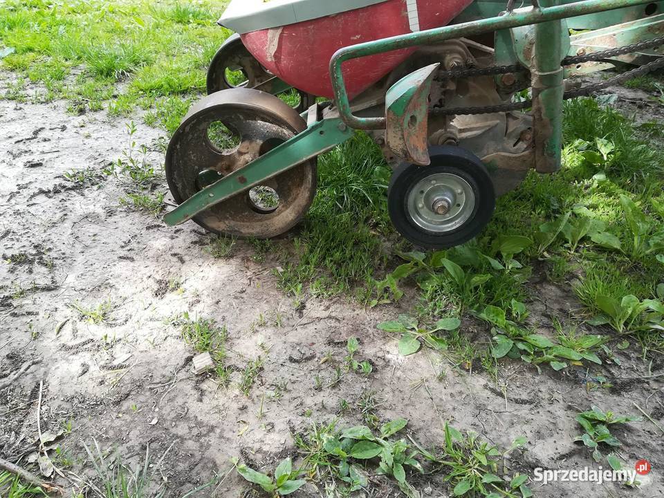 Siewnik do buraków Polanówka