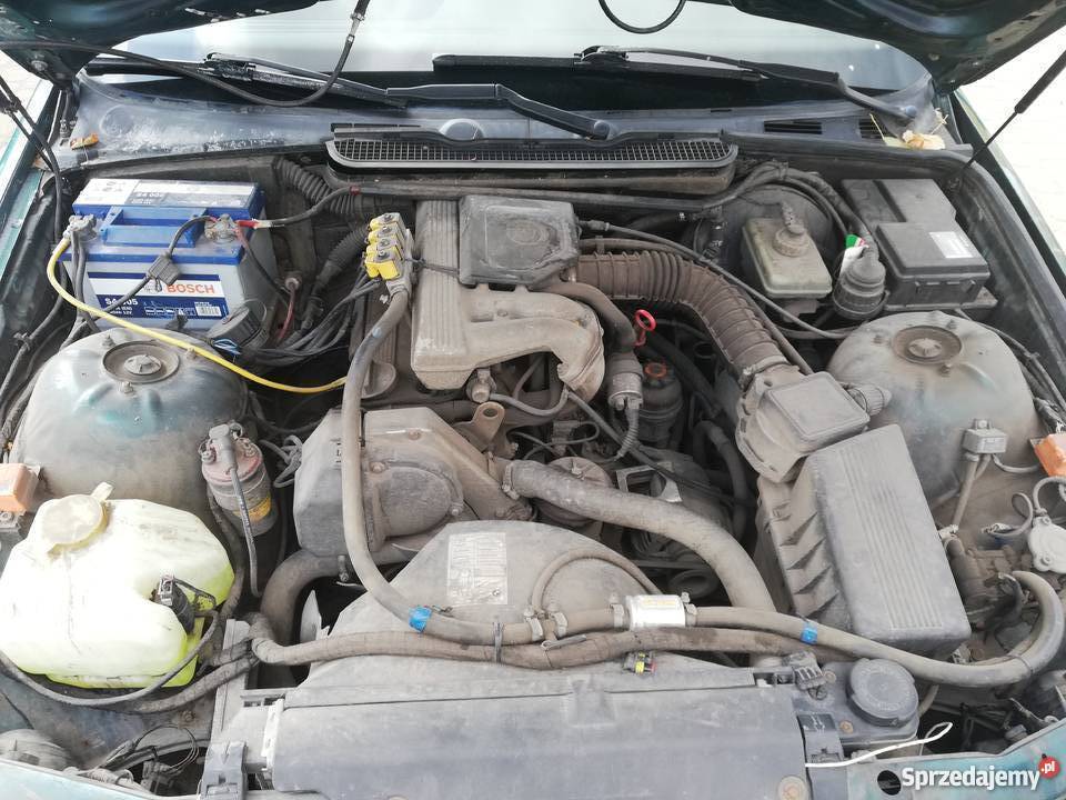 Bmw e36 Tanio Inowrocław