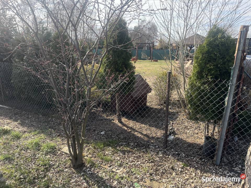 Sprzedam działkę ROD Oaza Plock 104zł/m2 Sprzedaż Płock