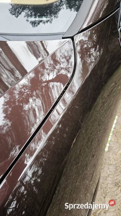 Porsche Cayenne V6 Hybrid Platinum Edition 416KM Dębe Wielkie