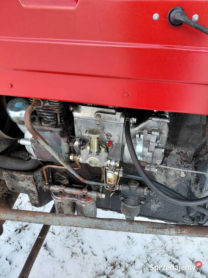 Ursus sprzedam zamienie Łuków