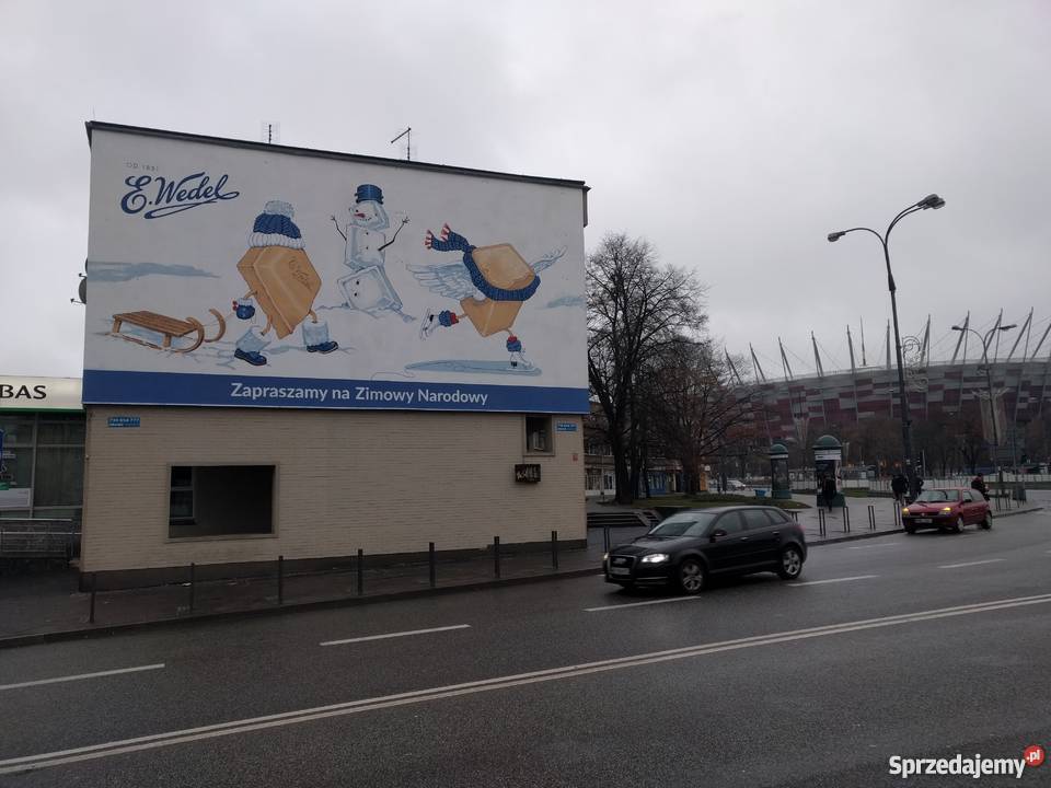 Artystyczne malowanie ścian Rysunek Ilustracja Szczecin