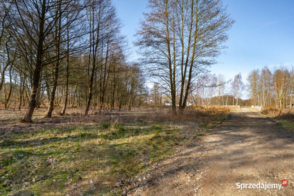Działka pod lasem z wydanymi warunkami 120 m2 Szczecin sprzedam