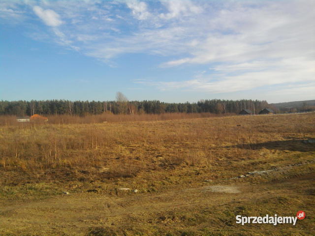 dzialke siedliskowom w czapielsku Czapielsk