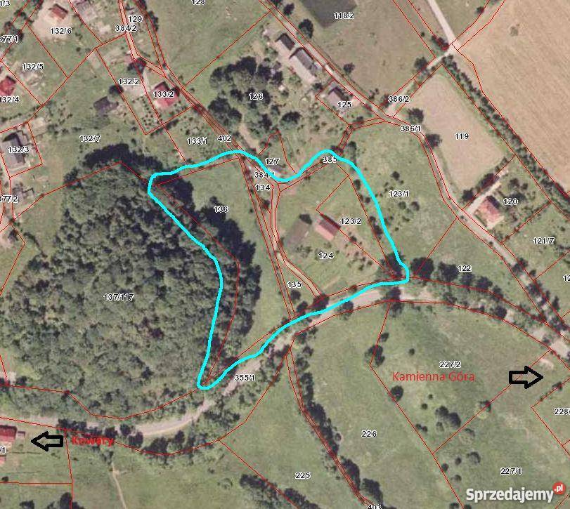 Sprzedam budynek mieszkalnogospodarczy Domy Leszczyniec