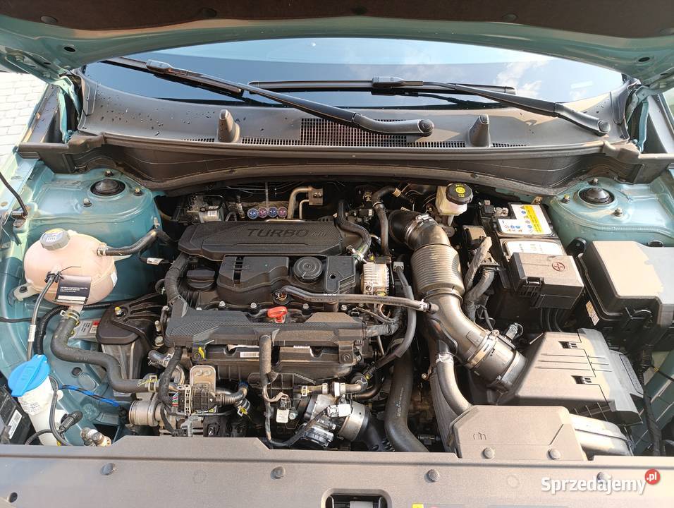 Kia Sportage 16 TGDI M 2WD Sportage Równe