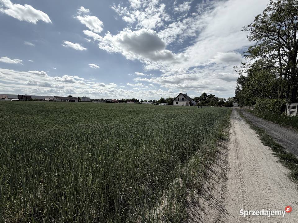 Działki budowlane z MPZP Gostków Poddębice asfalt Stary Gostków