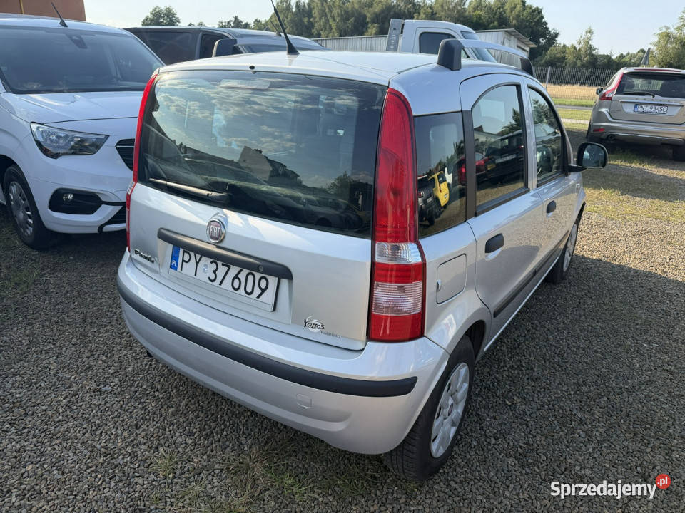 Fiat Panda klima zarejestrowany 80 II 20032012 Zarejestrowany w Polsce Zbąszyń