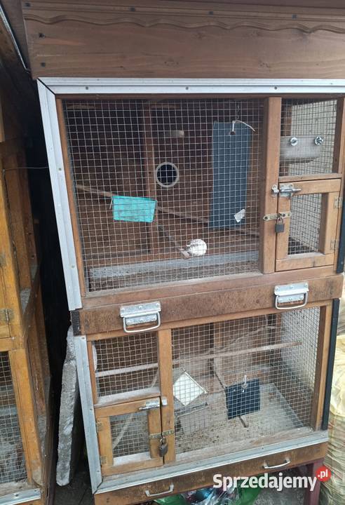 Klatki papug Lwówek