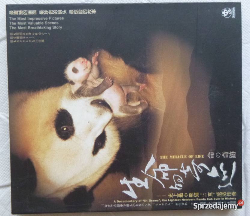 Film DVD Cud życia Panda 51 gramów Filmy