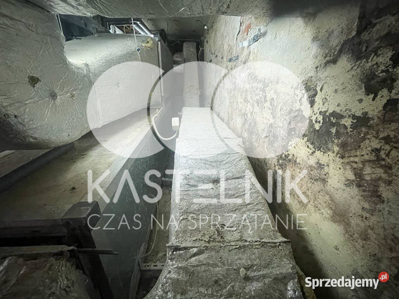 Sprzątanie zalaniach usuwanie szkód Pyskowice