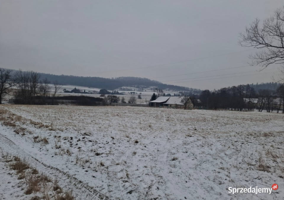 Piękne działki 30 arów w gorach Nieruchomości Gorzanów sprzedam