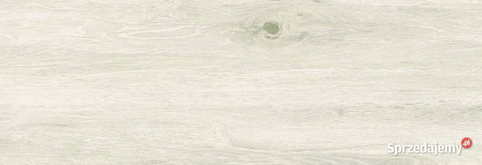 TERAKOTA CALEDONIA BIANCO 235X662 Krzywda