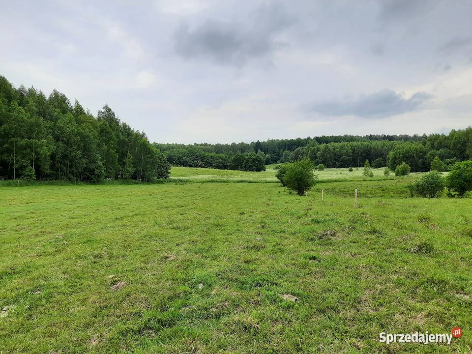 Kompleks działek 84ha z 8 WZ na Warmii Krekole 84000m2