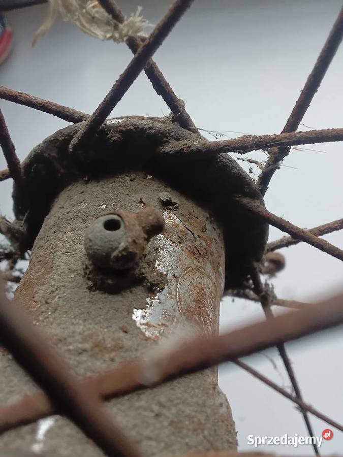 Torpedo DRP 1934 koło zabytkowy rower Milejewo