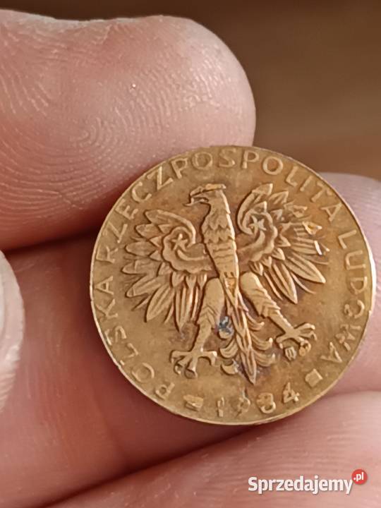 Sprzedam 2 zlote 1984 Destrukt mnijszy innych Chełm