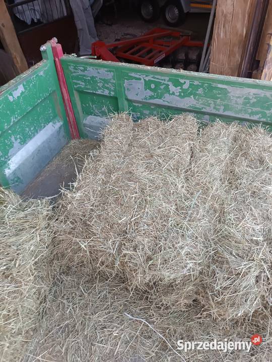 Siano w kostkach nie słoma bele Łopuszno