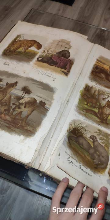 Atlas zoologii botaniki i mineraologii 1887 Antyki, Sztuka, Kolekcje Nowe Gronowo