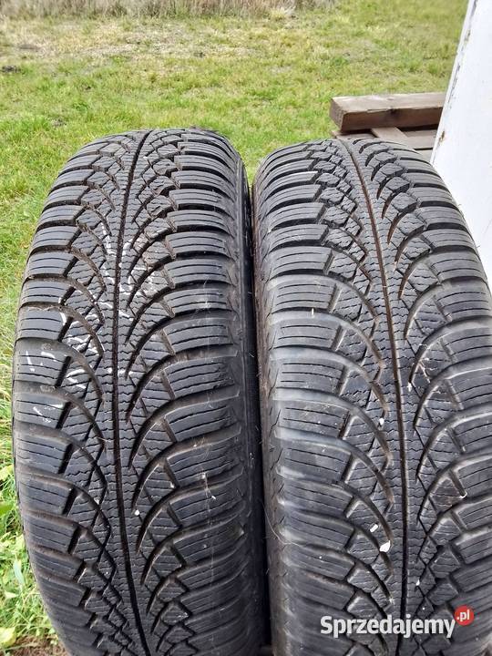 Opony zimowe 1856515diplomat winter Kowala