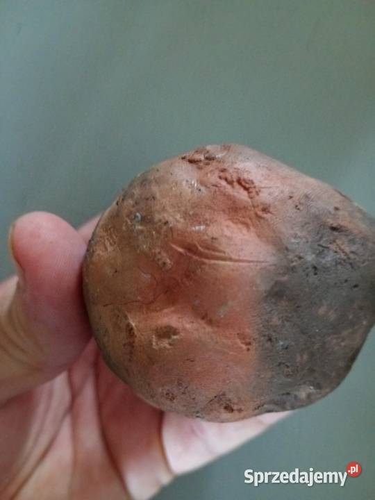 ZŁOŻE SUROWCA ILASTEGO PRZEMYSŁU CERAMICZNEGO Łopuszno