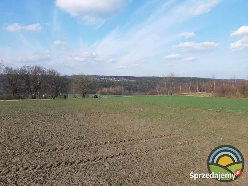 Brzoskwinia gm Zabierzów widokowa 77arowa