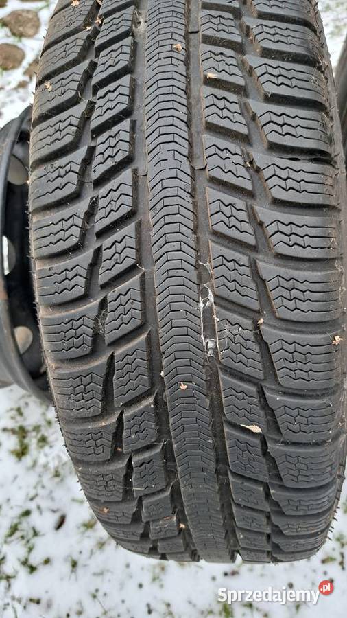 Peugeot 207 koła zimowe 205x55x16R wielkopolskie Leszno