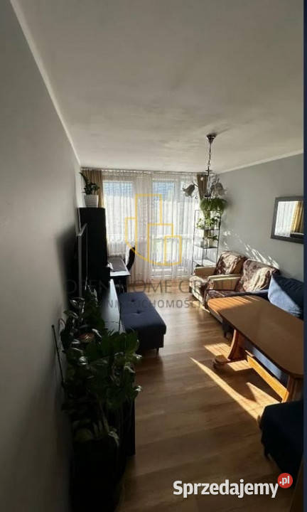 36 m duży balkon 7 piętro Kolista dostępne zaraz Wrocław sprzedam