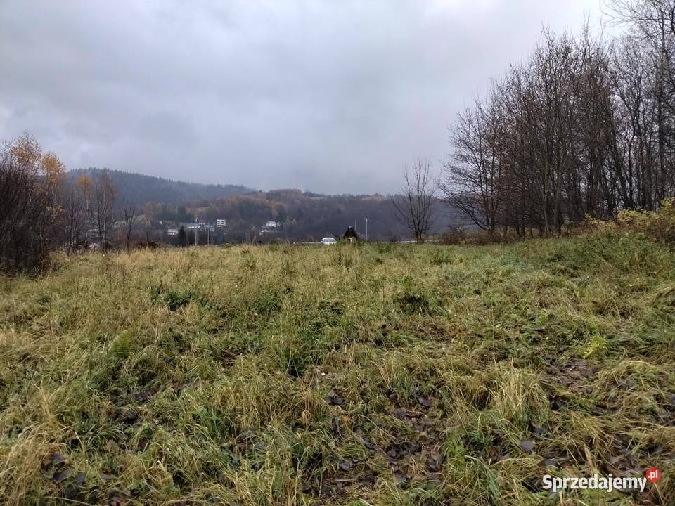 Sprzedam działę podkarpackie Zboiska