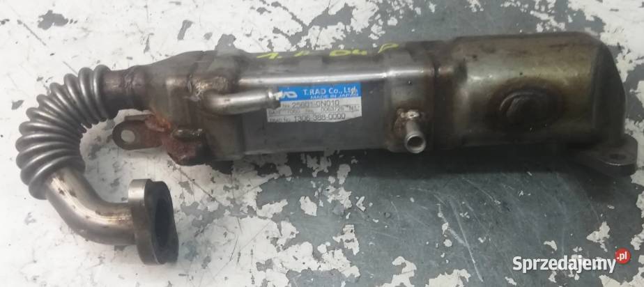 Chłodnica Spalin Toyota 14 D4D 265010N010 Zawieszenie silnika Suchedniów sprzedam