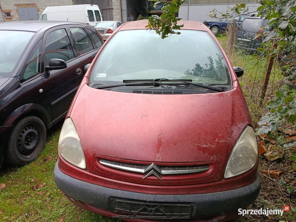 Citroen Xsara Picasso 20 HDi 66 kW 2002 r dawca Szklarka Myślniewska