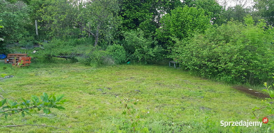 Odstąpię działkę ogrodową ROD Gdańsk Chełm