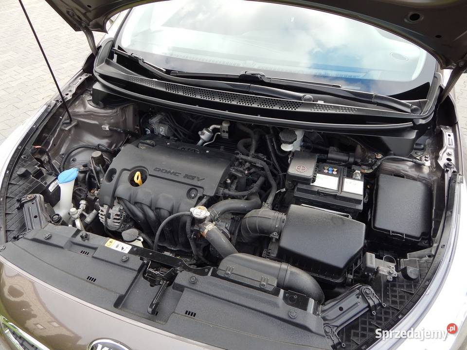 Kia Ceed 14 100 Serwis Super Stan Hatchback Łosice