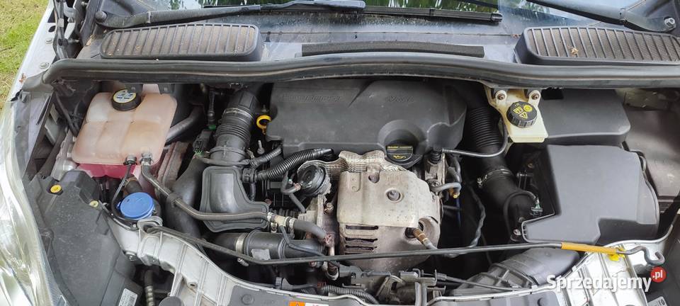Ford C niski przebieg wielkopolskie Piła sprzedam