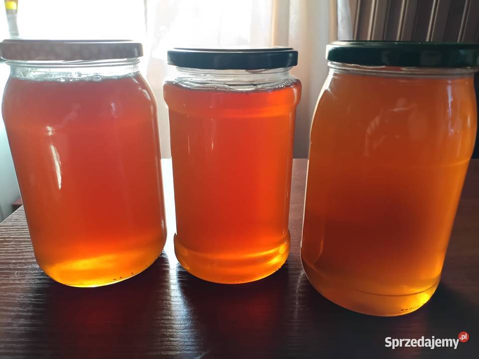 Miód z własnej pasieki małopolskie Zakopane sprzedam
