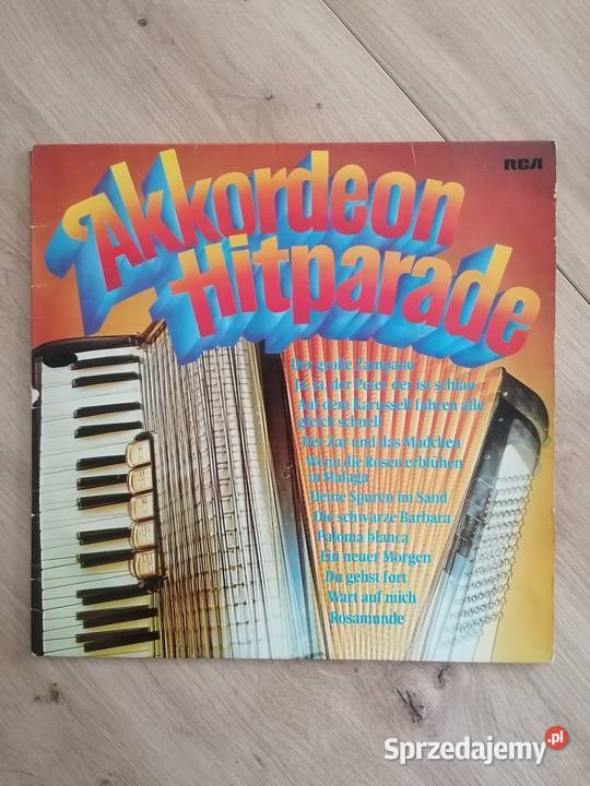 płyta winylowa Akkordeon Hitparade 1 płyta