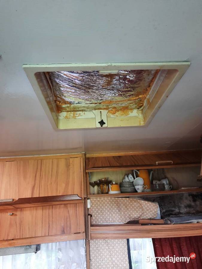 Oddam przyczepę Wilk Safari Wilk Ustroń