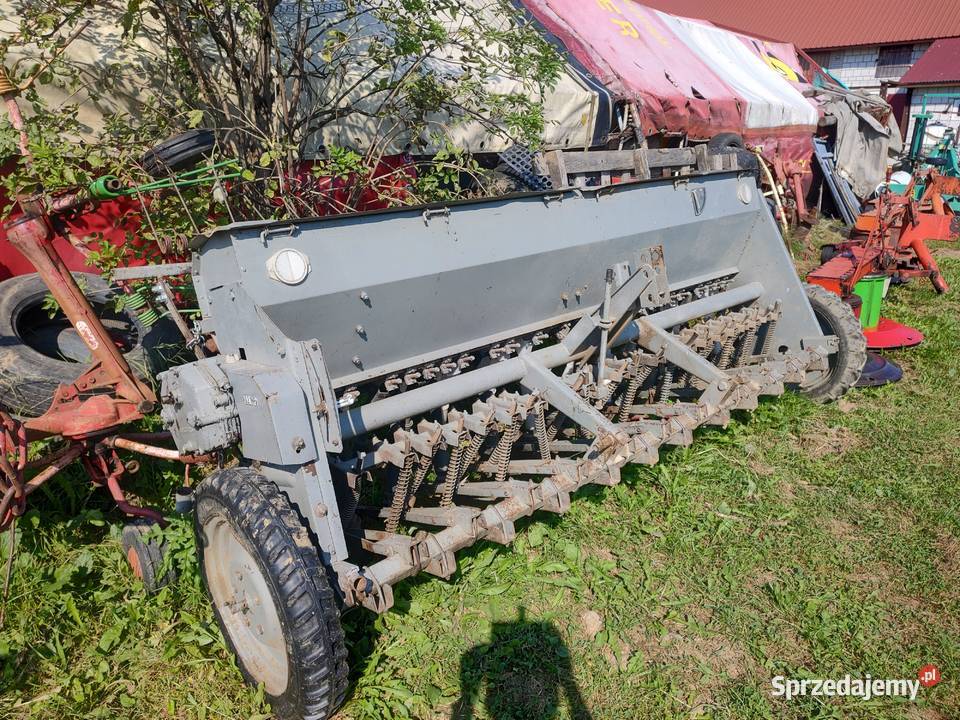 Siewnik Poznaniak Śniadka Druga